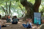 远离幻听困扰，科学预防与日常应对指南