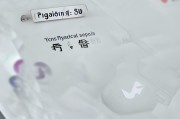 手机文件夹设置，实用指南