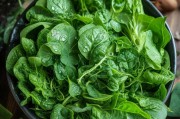 青菜怎么才能绿？——从叶绿素到餐桌的绿色密码