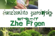 折耳根入门指南，从抗拒到痴迷的奇妙之旅