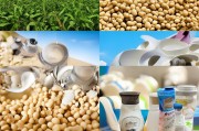 黄豆怎么才能，从食材到保健品的全方位利用