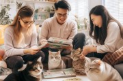 远离猫癣困扰！养猫家庭必学的5大防护秘籍