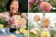 花甲怎么洗才干净？这几个步骤教你轻松搞定！
