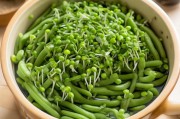 绿豆变豆芽，超简单的家庭发芽指南