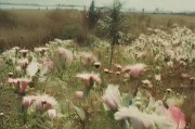 打造专属节日氛围，如何设置个性化红包封面
