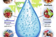 水痘的正确打开方式，了解水痘的传播与预防