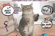 猫咪乱挠怎么办？5个实用方法帮你轻松解决！