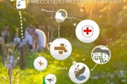 夏季防蜈蚣叮咬，实用指南让你远离百足惊魂