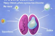 卵巢囊肿易复发？科学预防是关键，这5点帮你降低风险