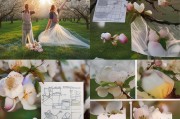 苹果落花怎么办？掌握这些关键措施，有效保花保果