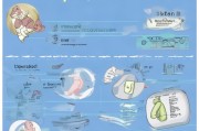如何科学预防胎儿腿部畸形？关键措施全解析