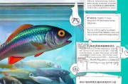 警惕激素鱼！学会这几招，安心选购放心鱼