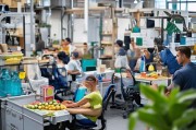 进厂打工如何远离高血压？这份实用指南请收好！