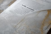 Word中字符底纹的巧妙设置，让文档更显专业与美观