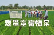 远离结膜吸吮线虫侵扰，科学预防是关键