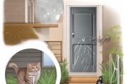 如何有效避免猫咪上门抓挠？实用防护指南