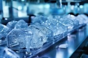 畸变冰冻孢子的成因与规避策略，守护生物样本的完整性