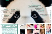 告别小熊猫眼！全面解析眼袋的成因与多种治疗方法