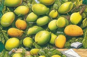 青芒果怎么算熟才能吃？这份指南请收好！