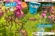 蚊子虽小，防蚊学问大！这些方法帮你轻松抓住它