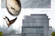 如何有效避免鸟粪困扰？这些实用技巧请收好