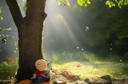 论傻，一种被误解的生存智慧