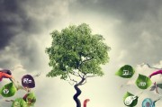羊癫疯的危害与科学避免策略，守护健康，远离风险