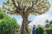龙柳怎么才能开花？园艺师教你三个关键步骤！