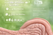 尖锐湿疣防复发，关键策略与日常护理指南
